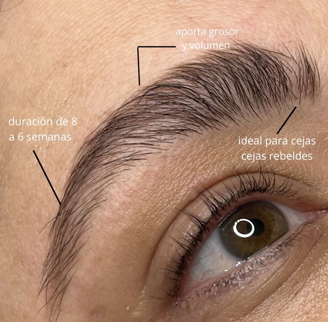 Laminado de cejas en Barcelona con acabado natural y cejas peinadas y definidas